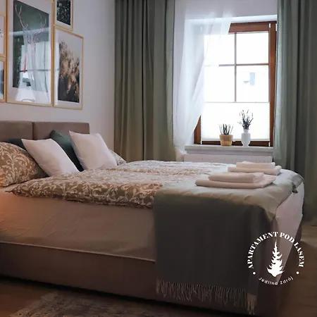 Pod Lasem Zdrój Apartament *