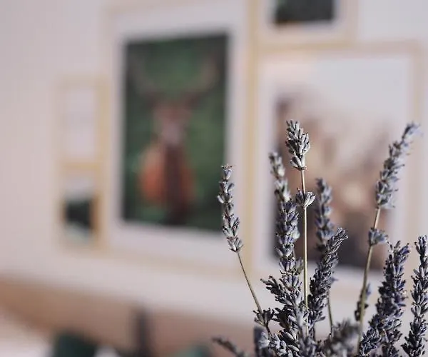 Pod Lasem Zdroj 아파트 예들리나-즈드로이