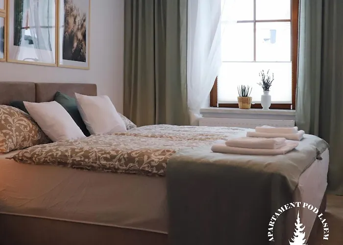 Pod Lasem Zdroj 아파트 *